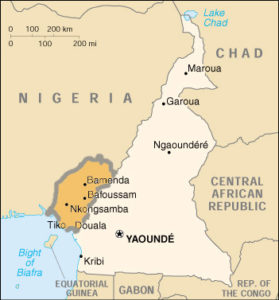 Camerún: al borde de la guerra civil