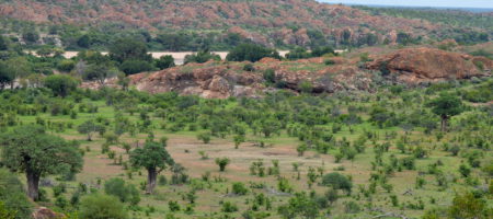 La maldición de los recursos de nuevo: conservación y exclusión en Sudáfrica y Mozambique